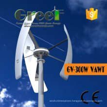 300W Small Vertical Windmill with Coreless Permanent magnet Generator